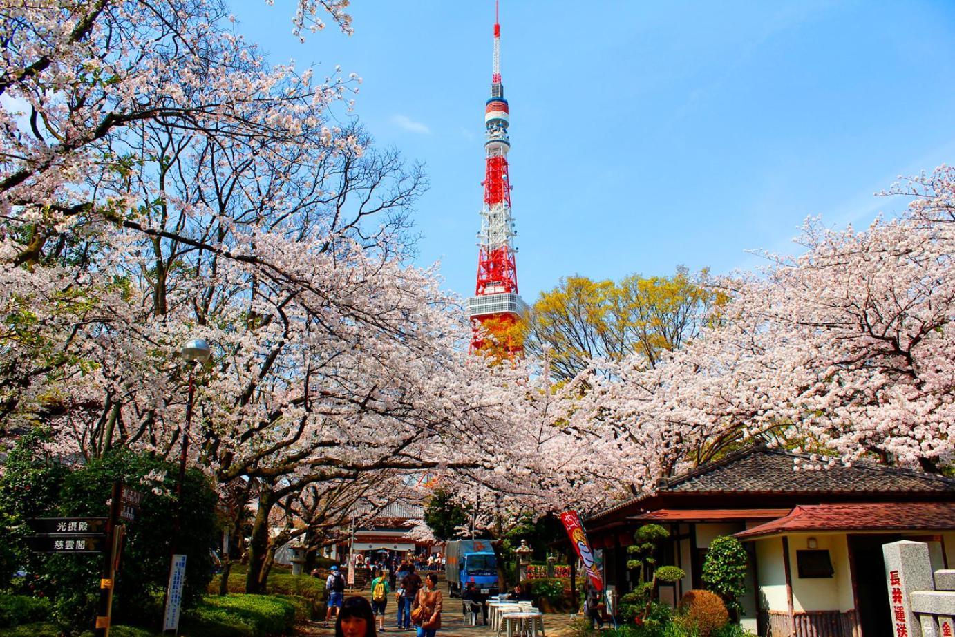 Rose Stay Tokyo Shiba Park Bagian luar foto